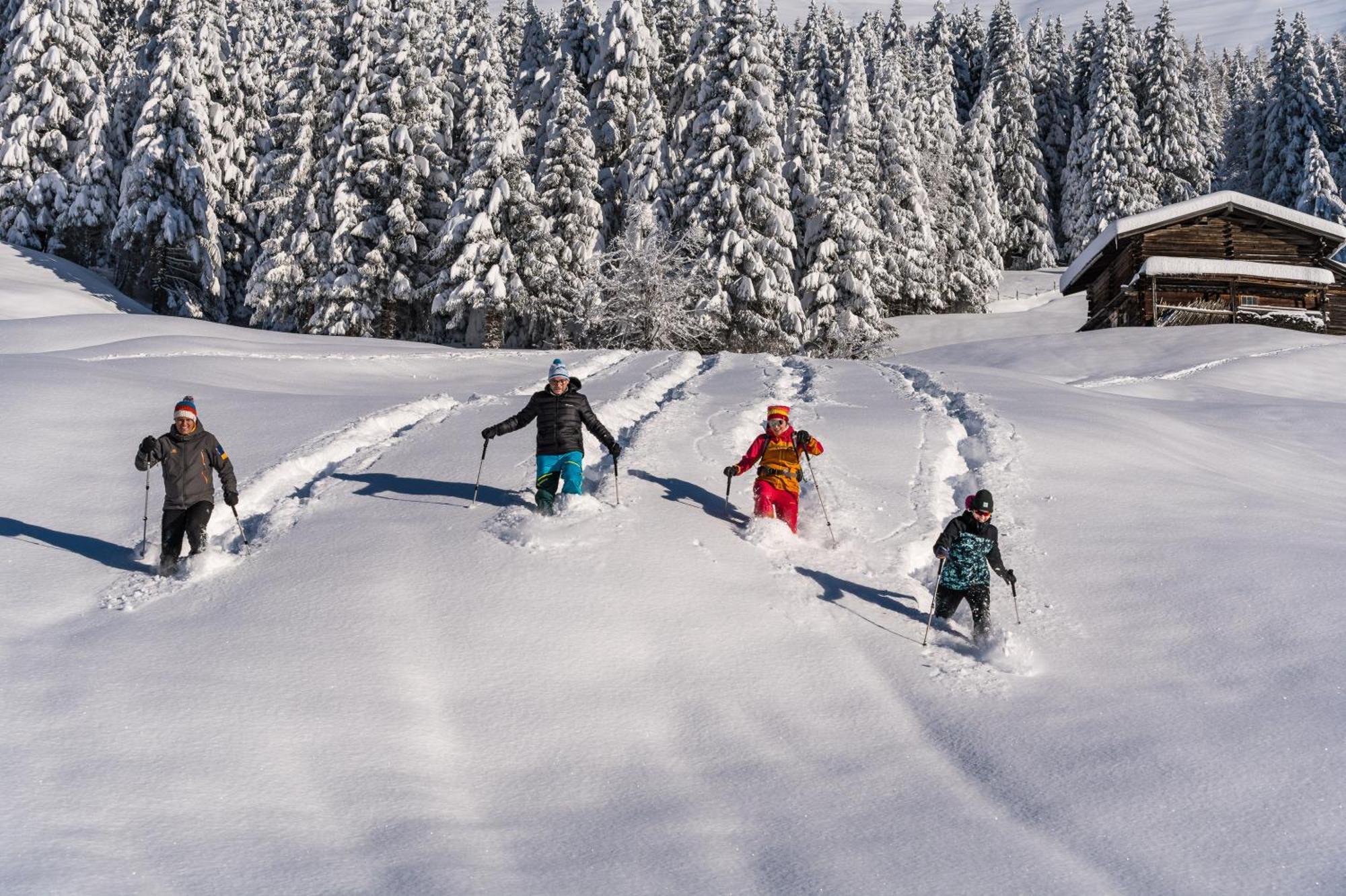 Hotel Natur- & Wanderhotel Tuxertal 4*